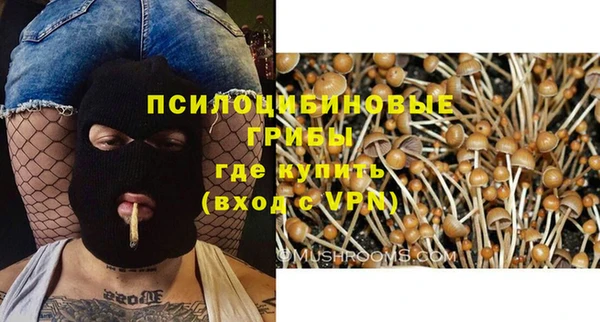 таблы Богданович