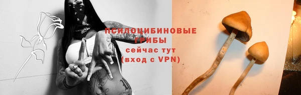 таблы Богданович