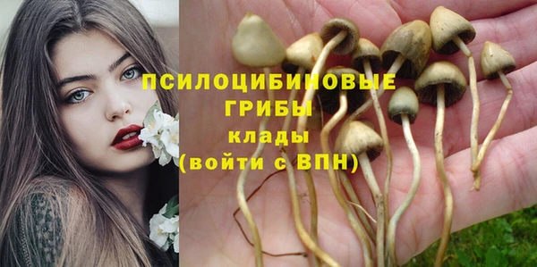 прущая мука Богородск