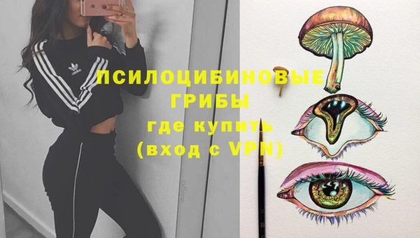 ALPHA-PVP Богородицк